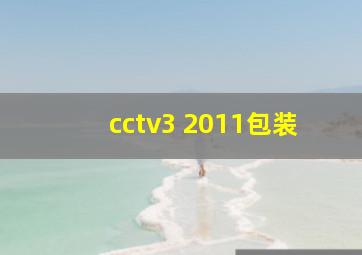 cctv3 2011包装